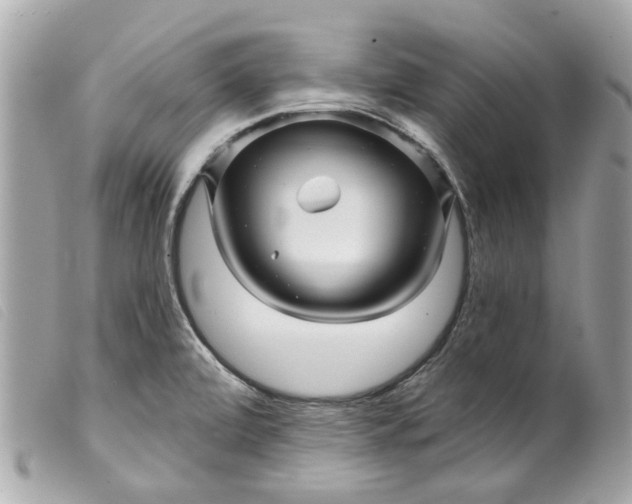 X0000099541472200805301450