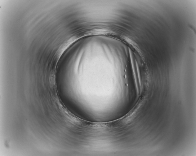 X0000099541473200805301450