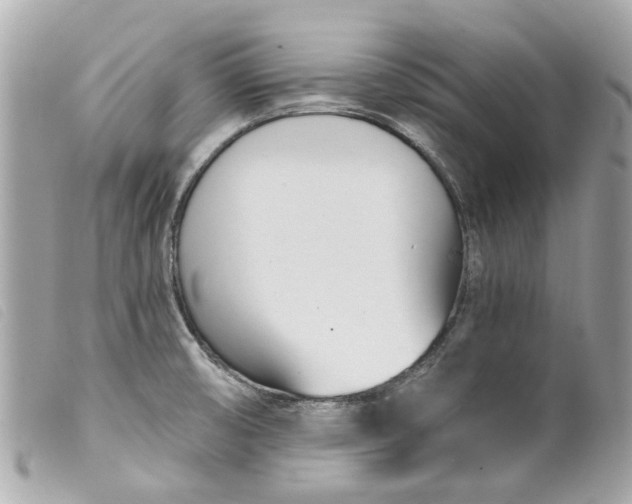 X0000099541474200805301450