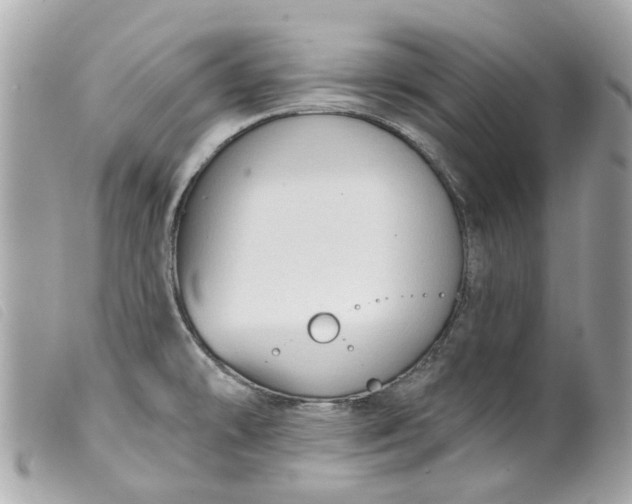 X0000099541478200805301450