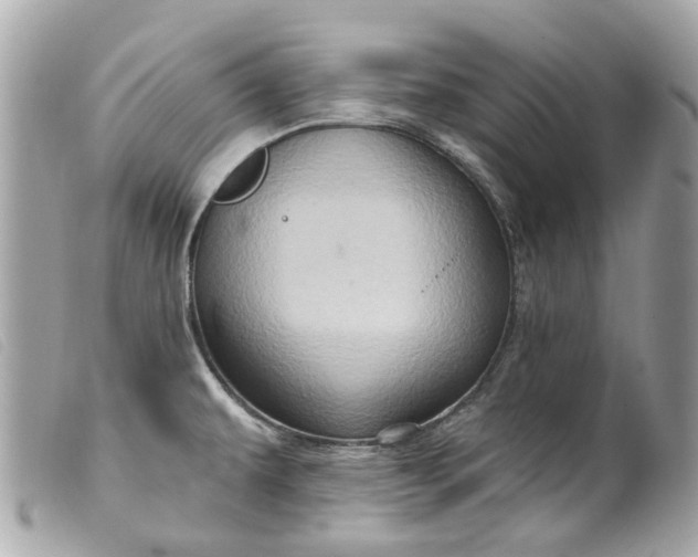 X0000099541479200805301450