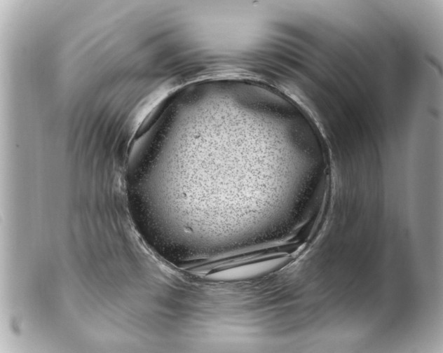 X0000099541481200805301450