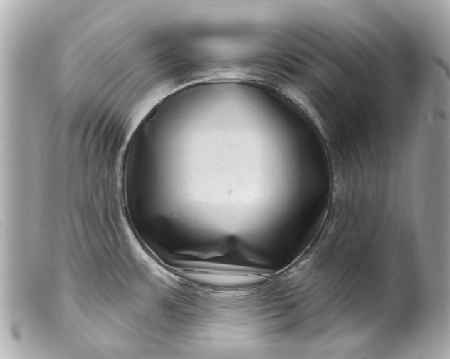 X0000099541483200805301450