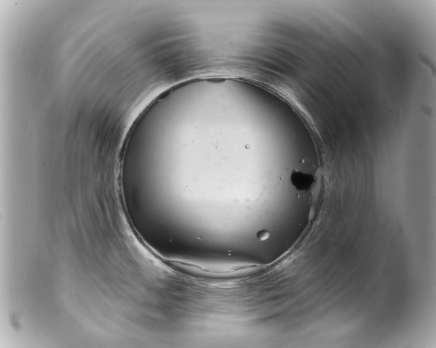 X0000099541484200805301450