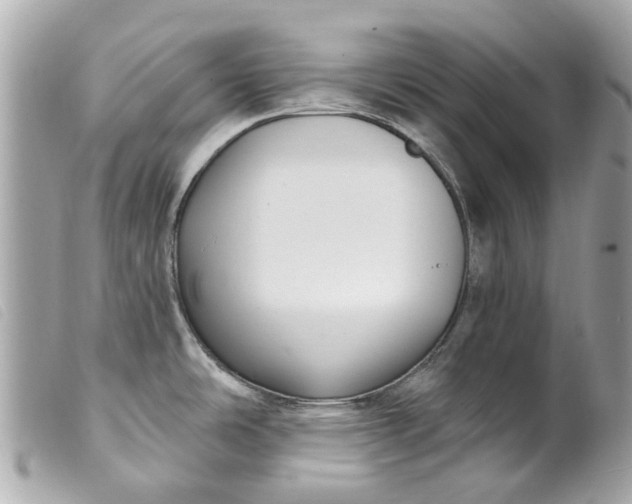 X0000099541486200805301450