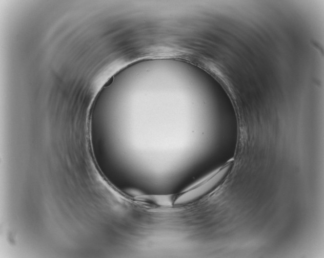 X0000099541487200805301450