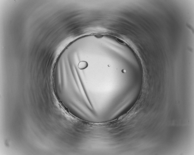 X0000099541488200805301450