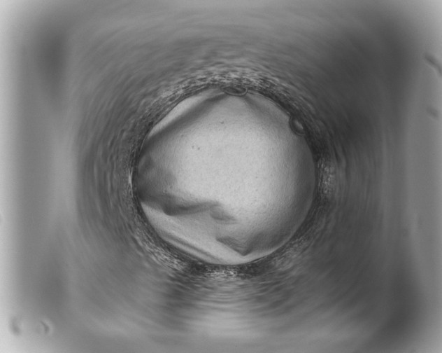 X0000099541489200805301449