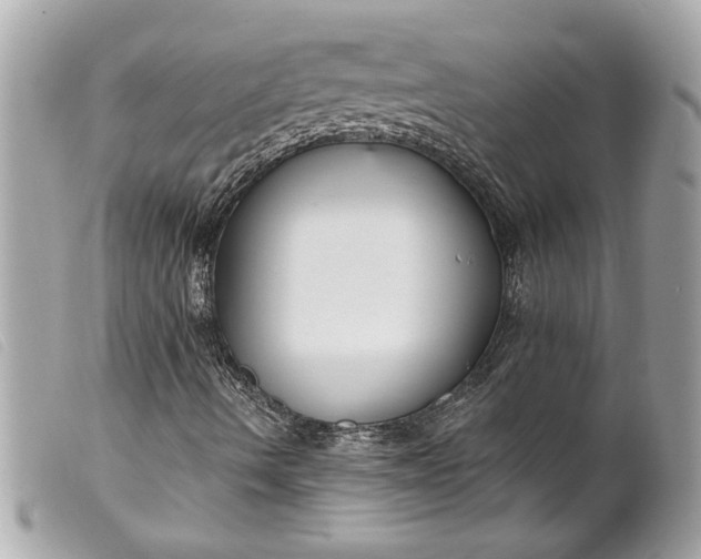 X0000099541490200805301449