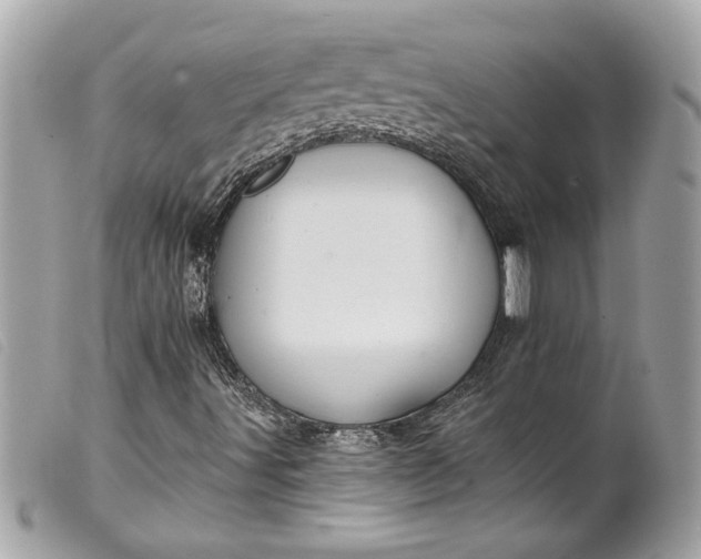 X0000099541491200805301449