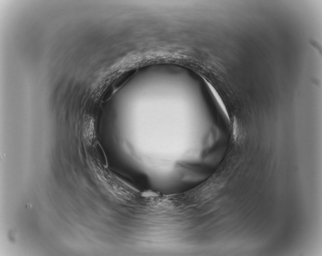 X0000099541492200805301449