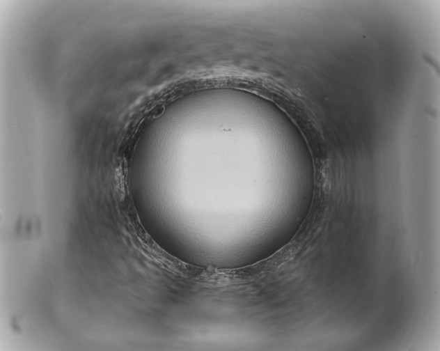 X0000099541493200805301449