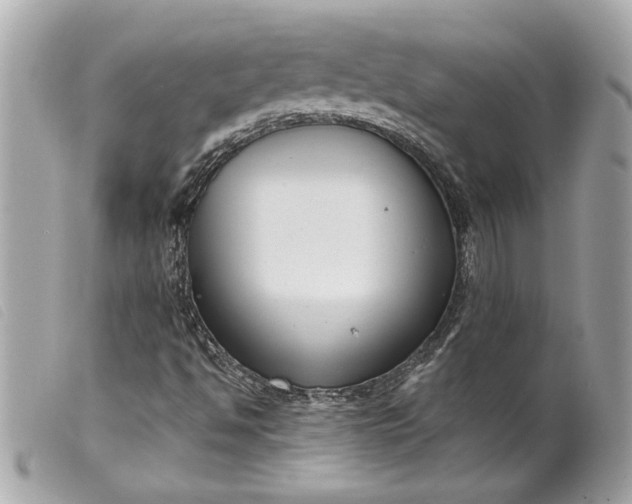 X0000099541494200805301449