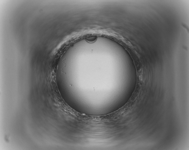 X0000099541495200805301449