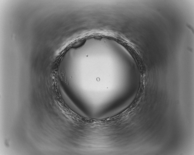 X0000099541496200805301449