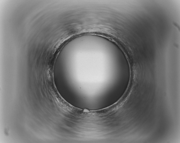 X0000099541497200805301449