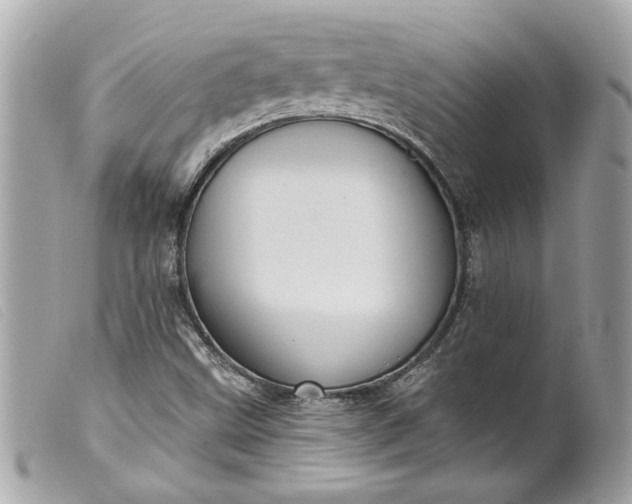 X0000099541499200805301450