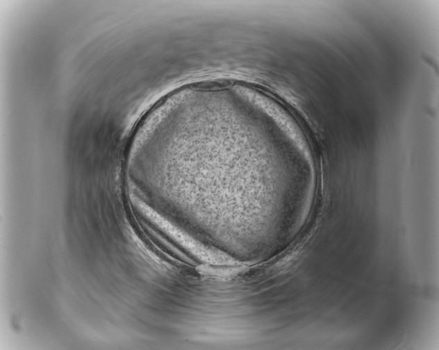 X0000099541500200805301450