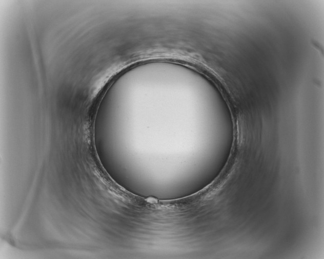 X0000099541501200805301450