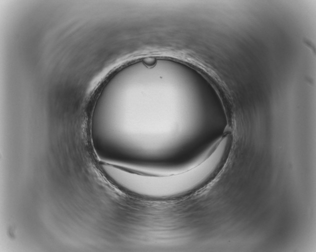 X0000099541502200805301450