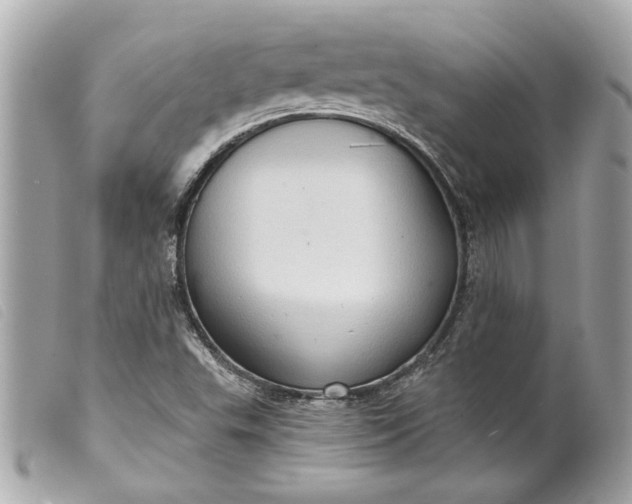 X0000099541503200805301450