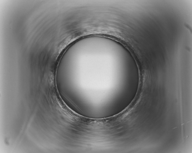 X0000099541505200805301450