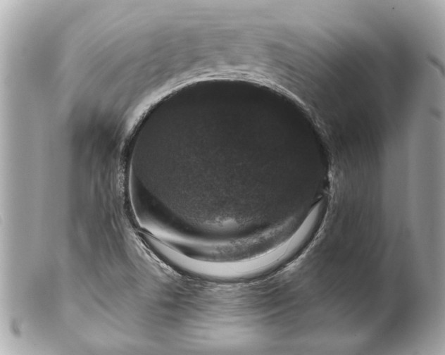 X0000099541506200805301450