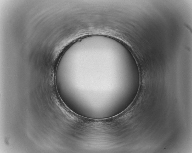 X0000099541507200805301450