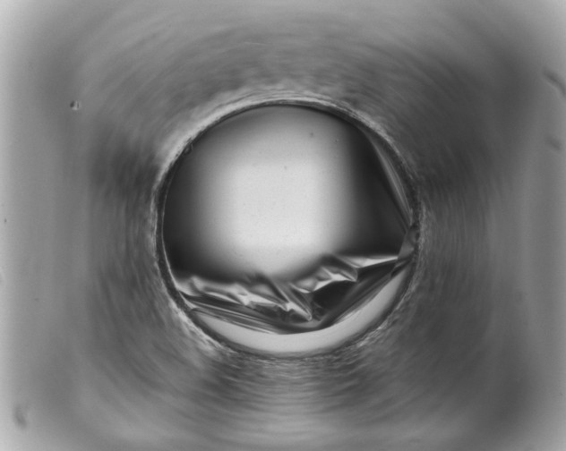 X0000099541508200805301450