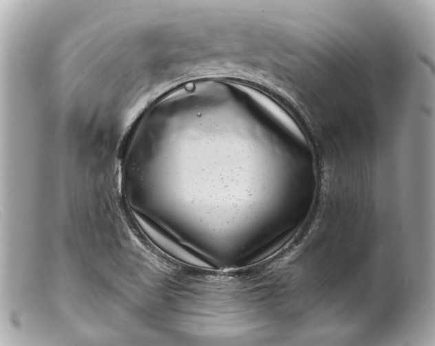 X0000099541509200805301450