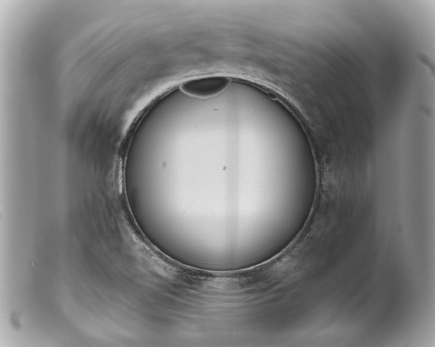 X0000099541510200805301450