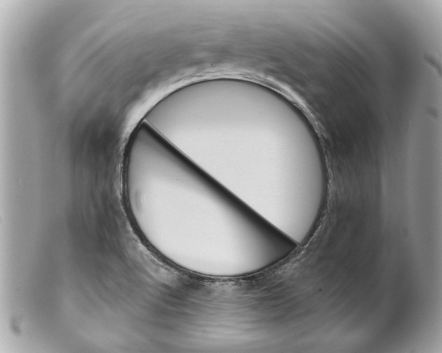 X0000099541512200805301450