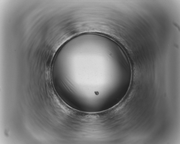 X0000099541513200805301450