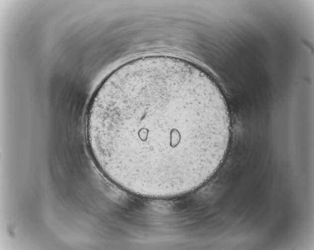 X0000099541514200805301450