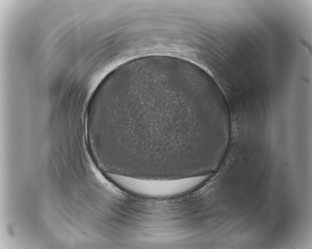 X0000099541515200805301450