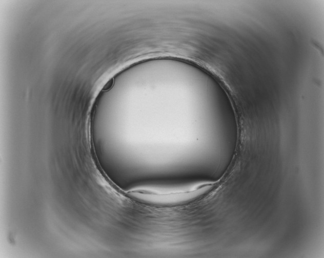 X0000099541516200805301450