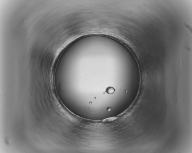 X0000099541517200805301450