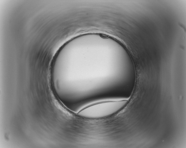 X0000099541518200805301450