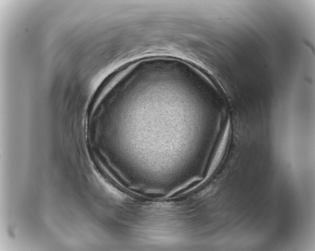 X0000099541519200805301450