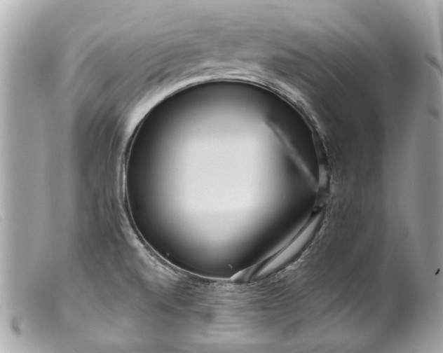 X0000099541520200805301450