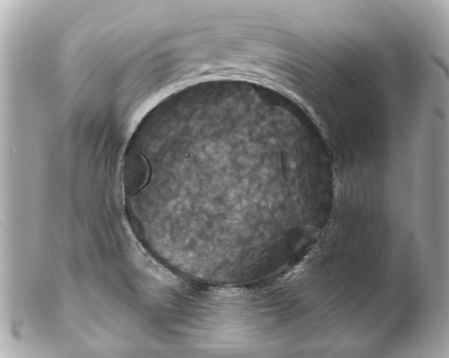 X0000099541522200805301450