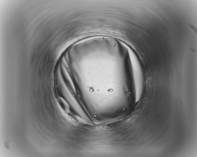 X0000099541523200805301450