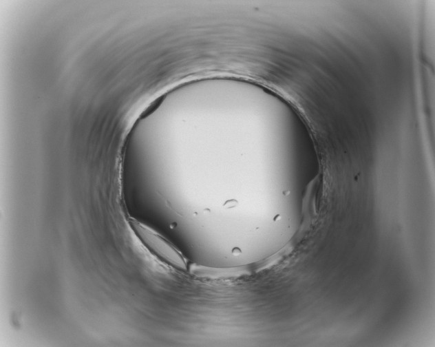 X0000099541524200805301450