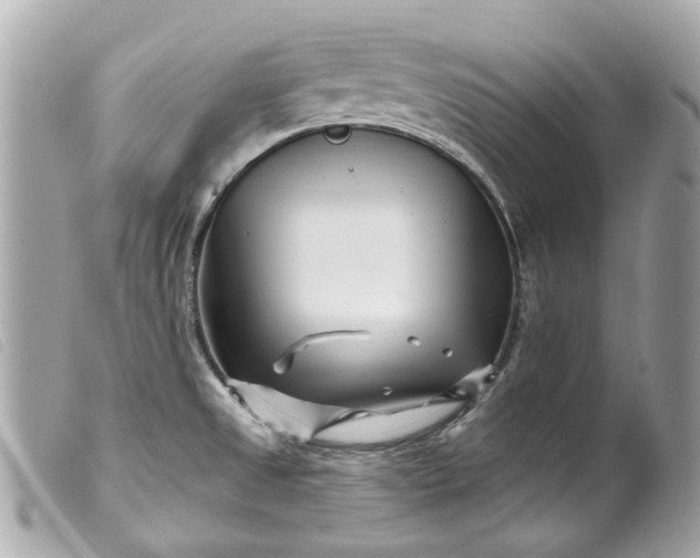 X0000099541525200805301450