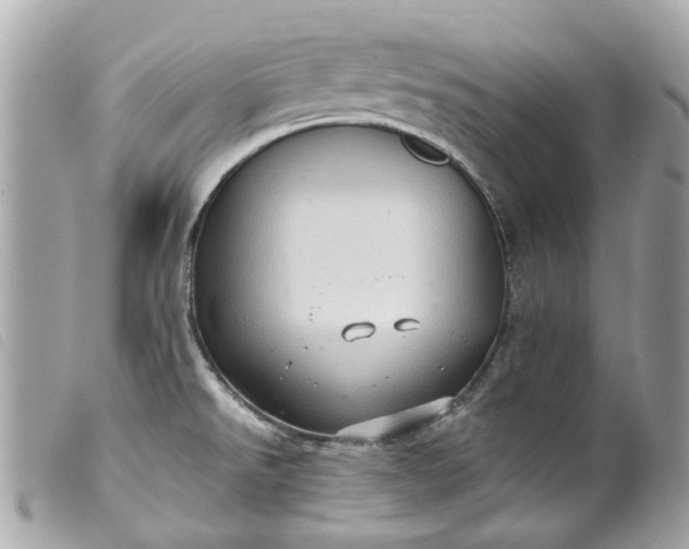 X0000099541526200805301450