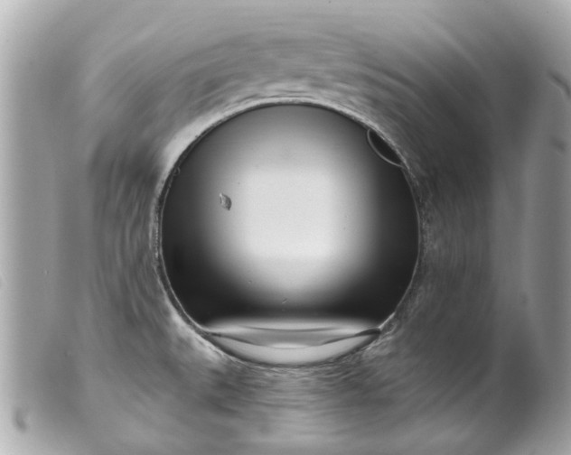 X0000099541527200805301450