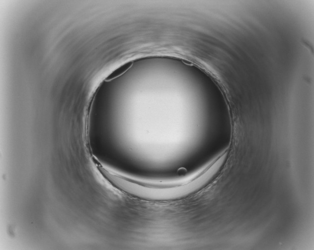 X0000099541528200805301450