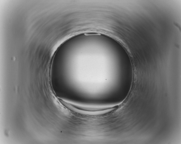 X0000099541530200805301450