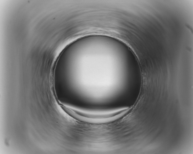 X0000099541531200805301450