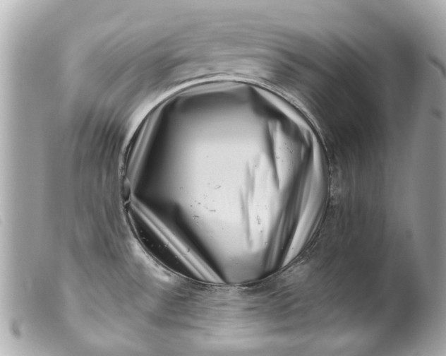 X0000099541532200805301450